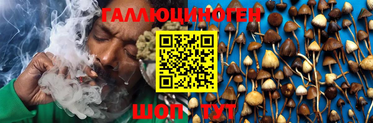 Псилоцибиновые грибы мухоморы Людиново